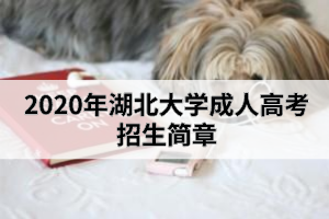 2020年湖北大学成人高考招生简章