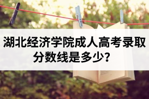 湖北经济学院成人高考录取分数线是多少？不及格能被录取吗？