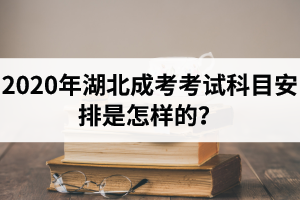 2020年湖北成考考试科目安排是怎样的？专科和本科考试科目是一样的吗？