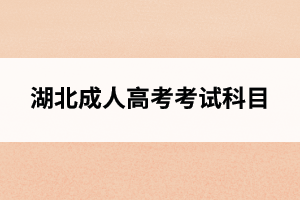 湖北成人高考考试科目一览表