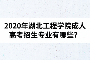 2020年湖北工程学院成人高考招生专业有哪些？