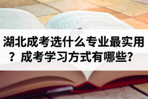 湖北成考选什么专业最实用？成考学习方式有哪些？