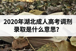 2020年湖北成人高考调剂录取是什么意思？怎样申请调剂录取？