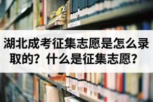 湖北成考征集志愿是怎么录取的？什么是征集志愿？