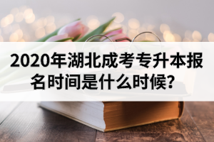 2020年湖北成考专升本报名时间是什么时候？报考条件有哪些？