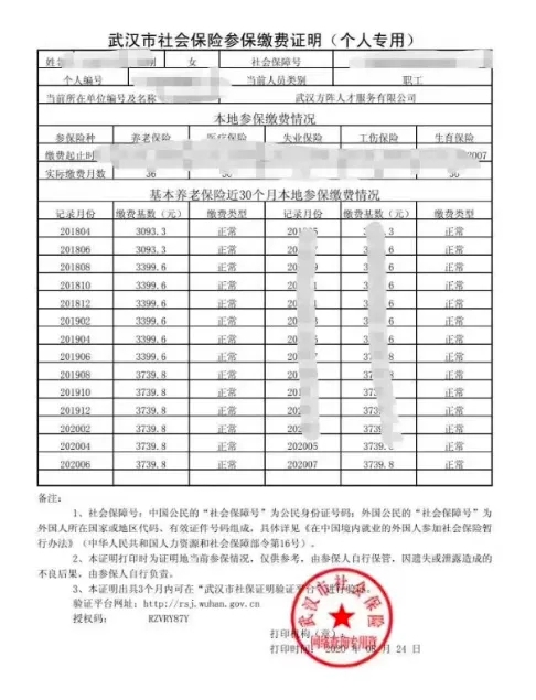 湖北成考社保流水打印展示效果