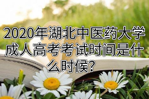 2020年湖北中医药大学成人高考考试时间是什么时候？