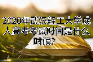 2020年武汉轻工大学成人高考考试时间是什么时候？