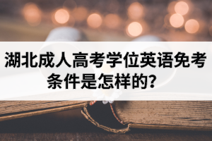 湖北成人高考学位英语免考条件是怎样的？申请学位证可以免考学位英语吗？