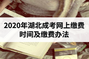 2020年湖北成考网上缴费时间及缴费办法