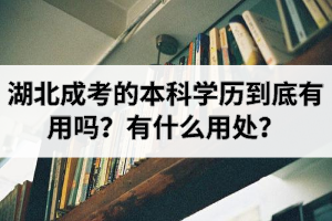 湖北成考的本科学历到底有用吗？