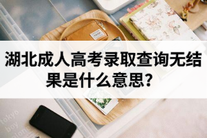 湖北成人高考录取查询无结果是什么意思？