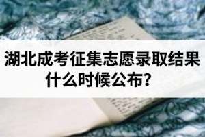 湖北成考征集志愿录取结果什么时候公布？