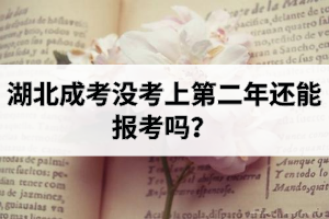 湖北成考没考上第二年还能报考吗？