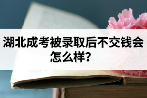 湖北成考被录取后不交钱会怎么样？