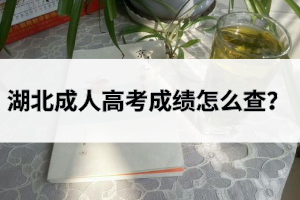 湖北成人高考成绩怎么查？