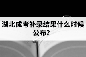 湖北成考补录结果什么时候公布？