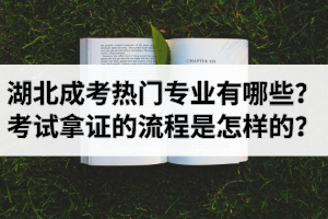 湖北成考热门专业有哪些？考试拿证的流程是怎样的？