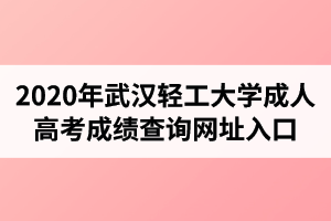 2020年武汉轻工大学成人高考成绩查询网址入口