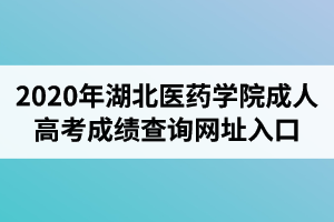 2020年湖北医药学院成人高考成绩查询网址入口