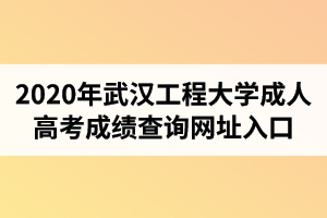 2020年武汉工程大学成人高考成绩查询网址入口