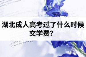 湖北成考缴费方式是怎样的?