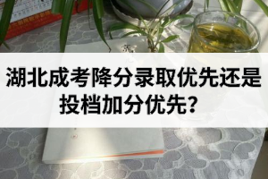 湖北成考降分录取优先还是投档加分优先？