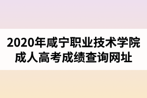 2020年咸宁职业技术学院成人高考成绩查询网址