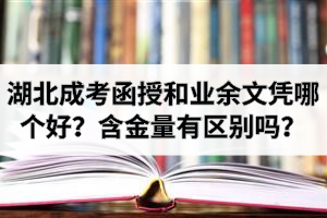 湖北成考函授和业余文凭哪个好？