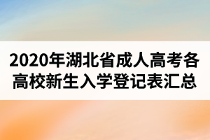 2020年湖北省成人高考各高校新生入学登记表下载链接汇总