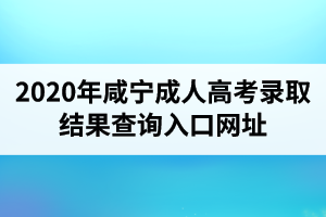 2020年咸宁成人高考录取结果查询入口网址