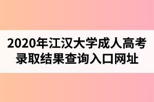2020年江汉大学成人高考录取结果查询入口网址