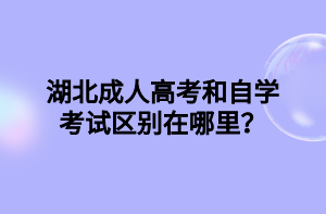 湖北成人高考和自学考试区别在哪里？