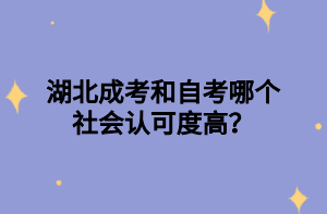 湖北成考和自考哪个社会认可度高？