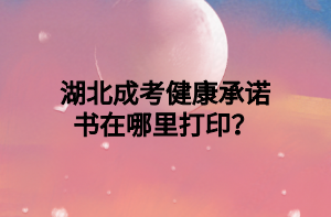 湖北成考健康承诺书在哪里打印？