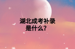 湖北成考补录是什么？