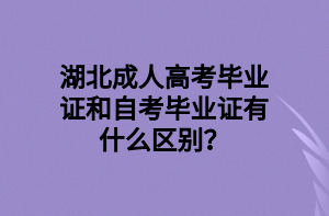 湖北成人高考毕业证和自考毕业证有什么区别？