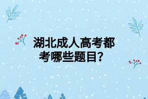 湖北成人高考都考哪些题目？