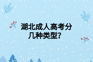 湖北成人高考分几种类型？