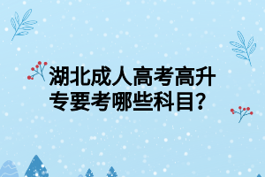 湖北成人高考高升专要考哪些科目？