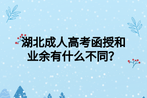 湖北成人高考函授和业余有什么不同？