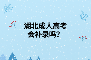 湖北成人高考会补录吗？