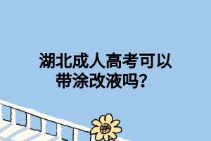 湖北成人高考可以带涂改液吗？