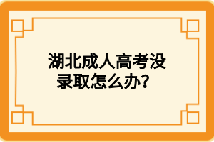 湖北成人高考没录取怎么办？