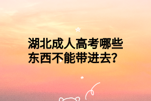 湖北成人高考哪些东西不能带进去？