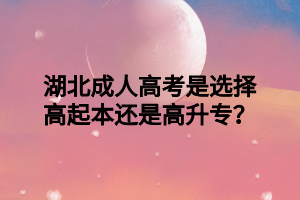 湖北成人高考是选择高起本还是高升专？