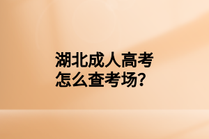 湖北成人高考怎么查考场？