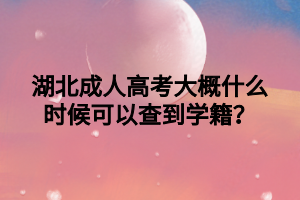湖北成人高考大概什么时候可以查到学籍？
