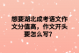 想要湖北成考语文作文分值高，作文开头要怎么写？