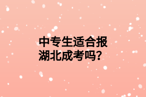 中专生适合报湖北成考吗？